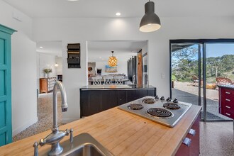 1234 Oribia Rd in Del Mar, CA - Building Photo - Building Photo