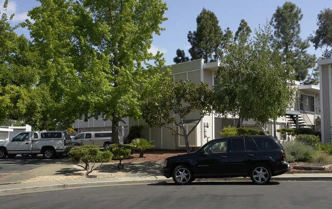 Briars and Belvedere Apartments in Pleasant Hill, CA - Building Photo - Building Photo