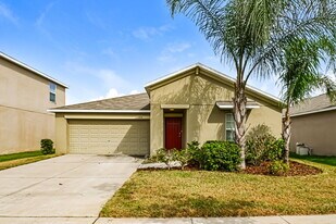 1516 Climbing Dayflower Dr in Ruskin, FL - Building Photo