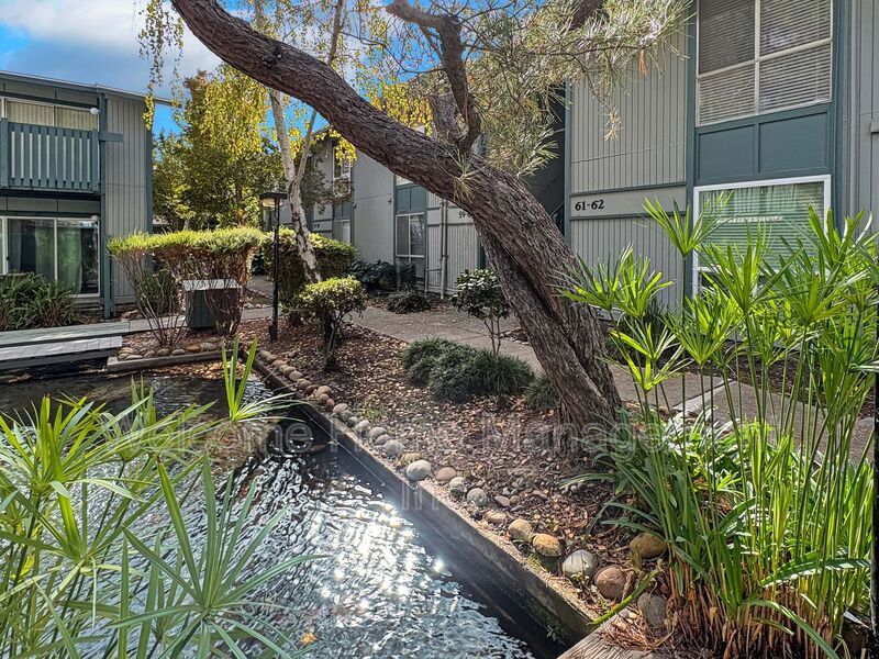 1036 Oak Grove Rd in Concord, CA - Building Photo