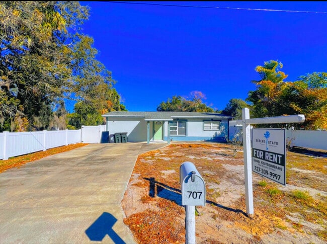 707 E Spruce St in Tarpon Springs, FL - Building Photo - Building Photo