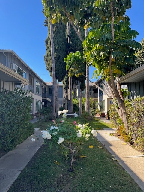 5323 Radford Ave in Valley Village, CA - Foto de edificio - Building Photo