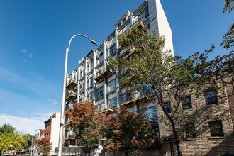Eckford Apartments in Brooklyn, NY - Building Photo - Building Photo