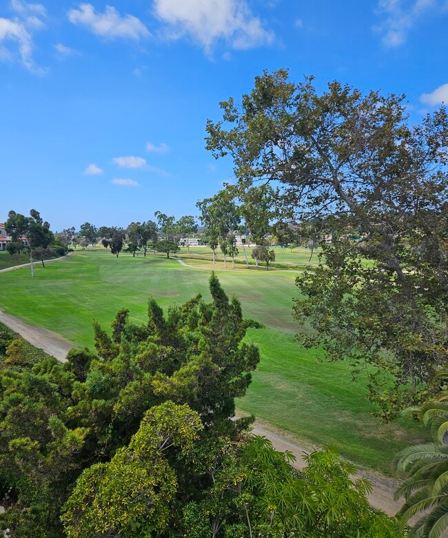 property at 2556 Navarra Dr