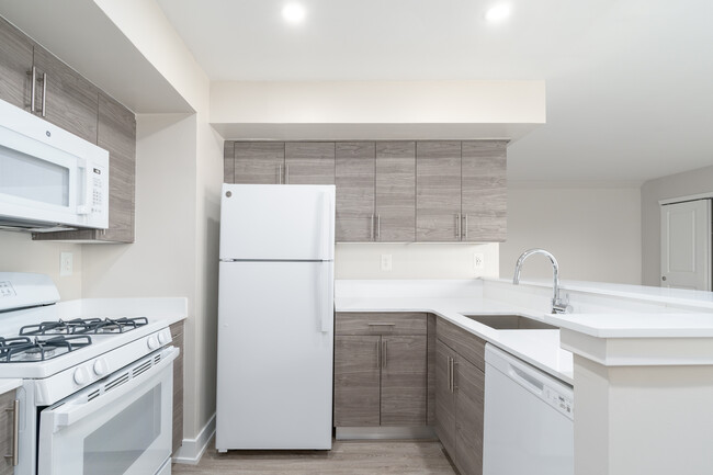 Donna Court Apartments in Philadelphia, PA - Building Photo - Interior Photo