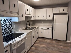 300 Car-Mol Dr in Johnson City, TN - Building Photo