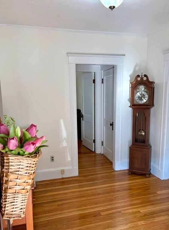44 Hillsdale St in Boston, MA - Building Photo - Building Photo