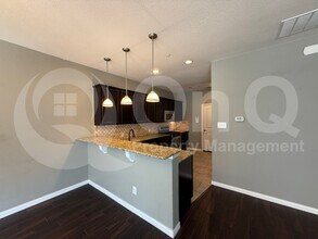 392 Dublin St in Lewisville, TX - Building Photo - Building Photo