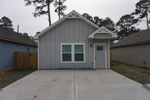 9761 Black Gum in Willis, TX - Building Photo