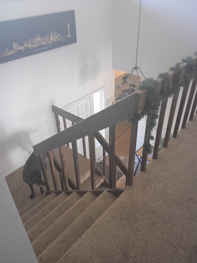 7748 W Ken Caryl Pl, Unit Bedroom 1 in Littleton, CO - Building Photo - Building Photo