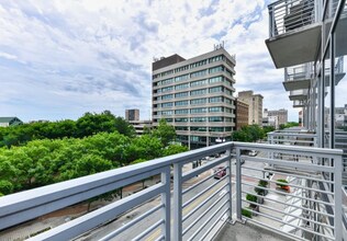 201 N Elm St in Greensboro, NC - Building Photo - Building Photo