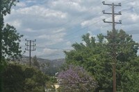 Surrounding Are - Ellenwood Apartments in Los Angeles, California