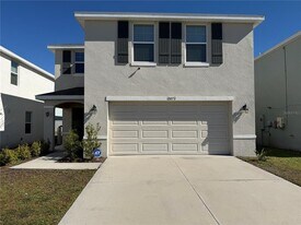 12072 Downy Birch Dr in Riverview, FL - Building Photo