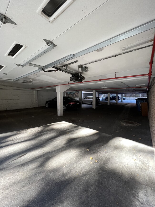 742 W Buena Ave, Unit 308 in Chicago, IL - Building Photo - Building Photo