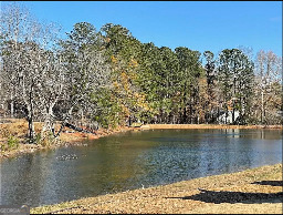 3172 Dowsing Ln in Powder Springs, GA - Building Photo - Building Photo