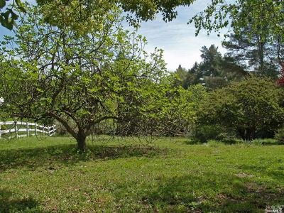 7385 Hidden Lake Rd in Forestville, CA - Building Photo - Building Photo