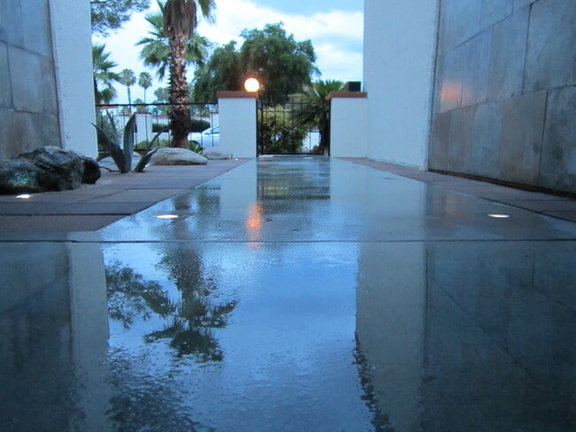 property at 859 W Palma de Coco