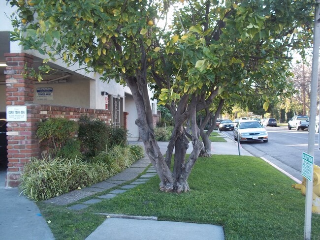 5929 Laurel Canyon Blvd in Valley Village, CA - Building Photo - Building Photo