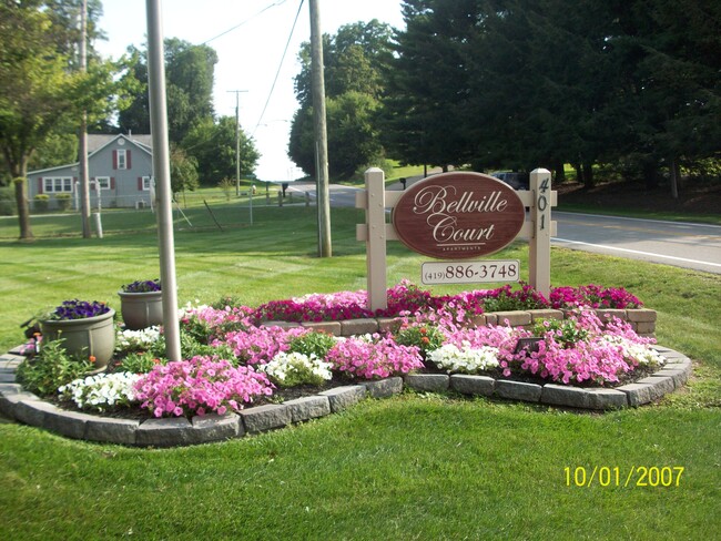 Bellville Court Apartments photo'