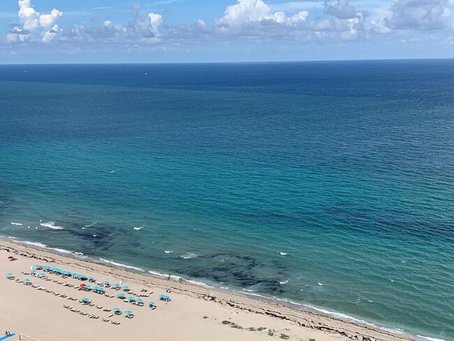 property at 3000 N Ocean Dr