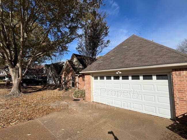 158 Doris Meadow Cove in Collierville, TN - Building Photo - Building Photo