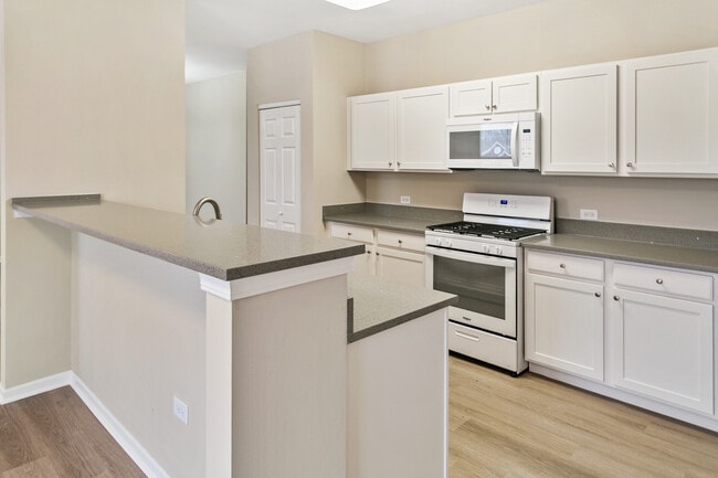 1171 Mount Vernon Dr in Grayslake, IL - Building Photo - Building Photo