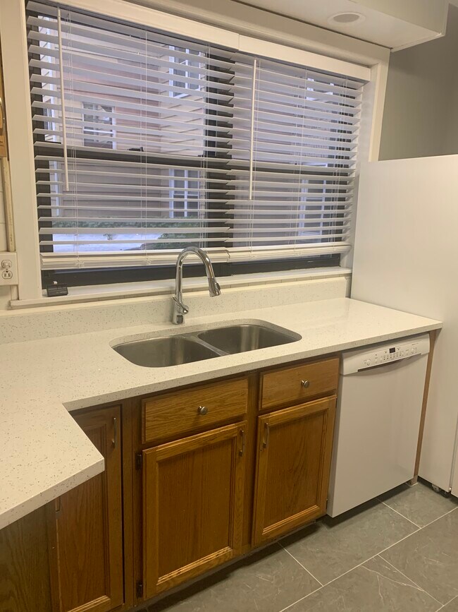 1529 W Thorndale Ave Rentals in Chicago, IL