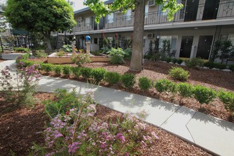 Magnolia Apartments in Pasadena, CA - Building Photo - Building Photo