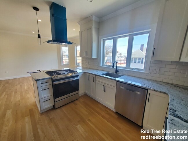 258 Belmont St, Unit 2 in Watertown, MA - Building Photo - Building Photo