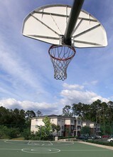 Tiger Bay Apartments in Gainesville, FL - Building Photo - Building Photo