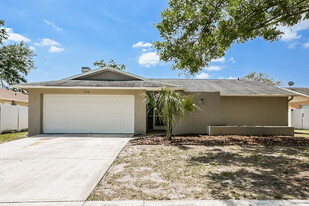 5518 Pentail Cir in Tampa, FL - Building Photo