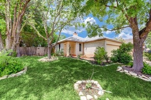 21100 Derby Day Ave in Pflugerville, TX - Building Photo