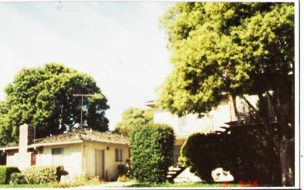 894 Bing Dr in Santa Clara, CA - Building Photo - Building Photo