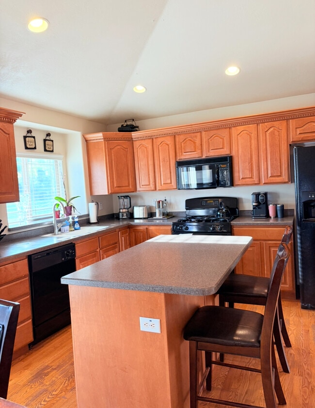 351 N 1480 E in Lehi, UT - Building Photo - Building Photo