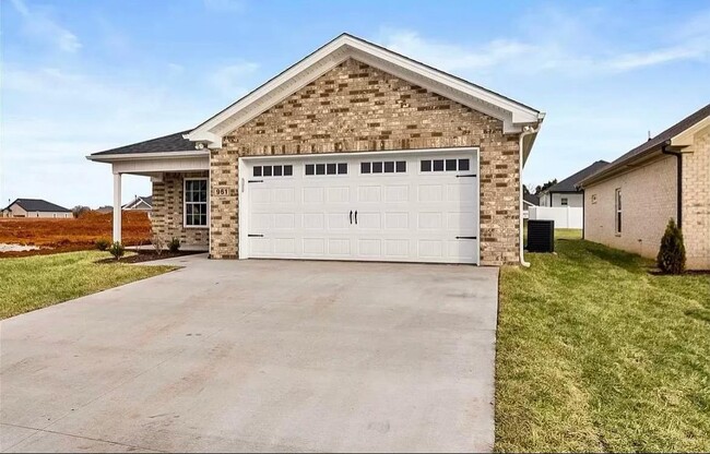 property at 961 McIntyre St