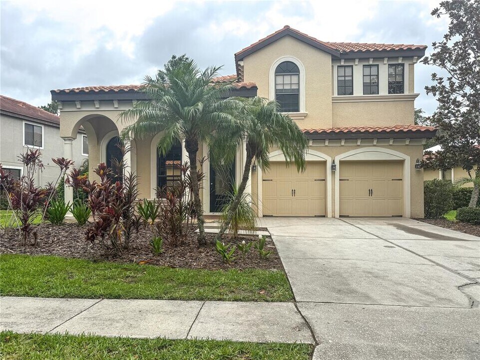 20318 Chestnut Grove Dr in Tampa, FL - Building Photo