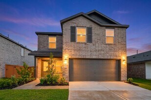 2410 Cherry Ruby Dr in Iowa Colony, TX - Building Photo