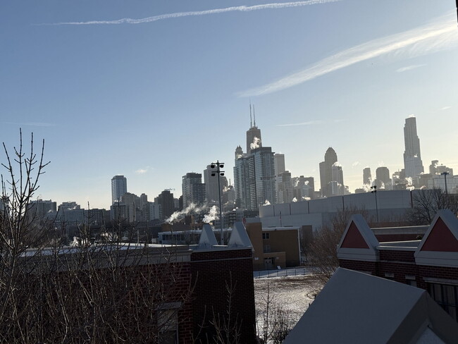 1332 N Burling St in Chicago, IL - Building Photo - Building Photo