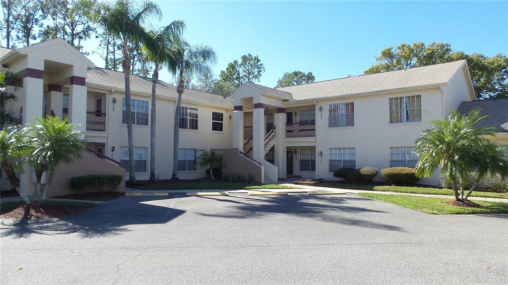 7910 Hardwick Dr in New Port Richey, FL - Building Photo