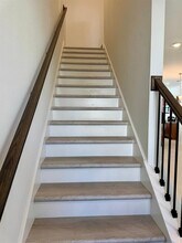 17705 Japonica Bloom Dr in Oakland, FL - Building Photo - Building Photo