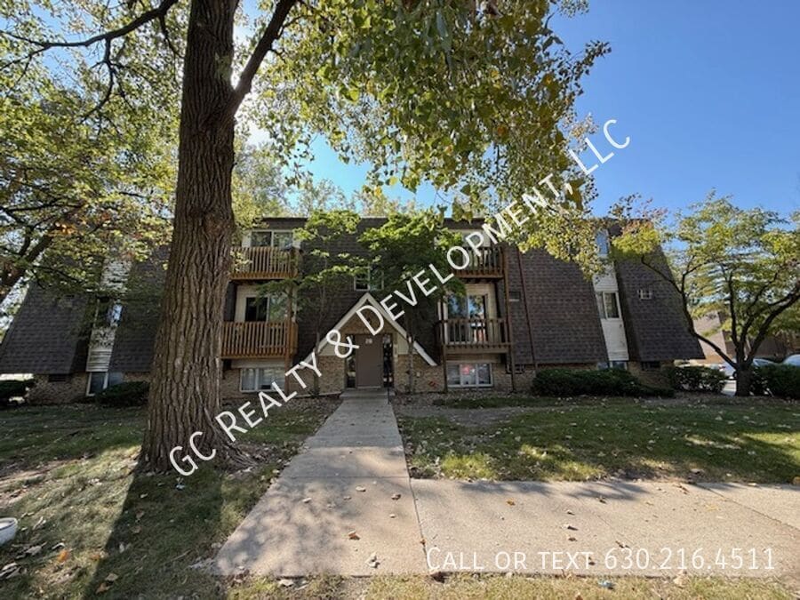 216 Madison St in Joliet, IL - Building Photo