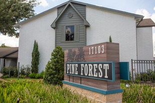 Pine Forest Apartments in Houston, TX - Building Photo