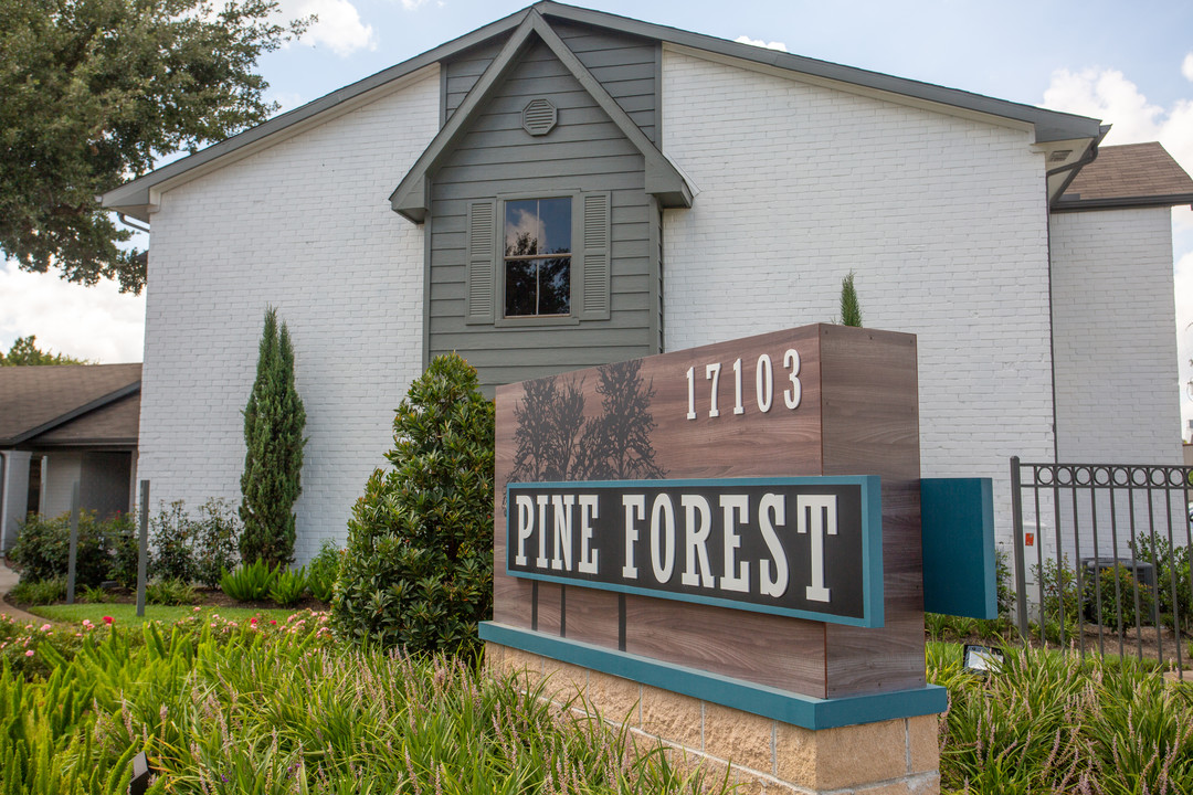 Pine Forest Apartments in Houston, TX - Building Photo