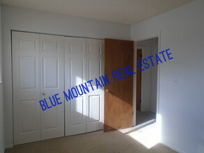 402 Mountain View Pl in Woodland Park, CO - Building Photo - Building Photo