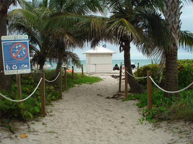 5225 Collins Ave, Unit 517 in Miami, FL - Building Photo - Building Photo