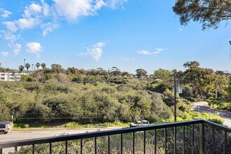 213 Avenida Lobeiro in San Clemente, CA - Foto de edificio - Building Photo