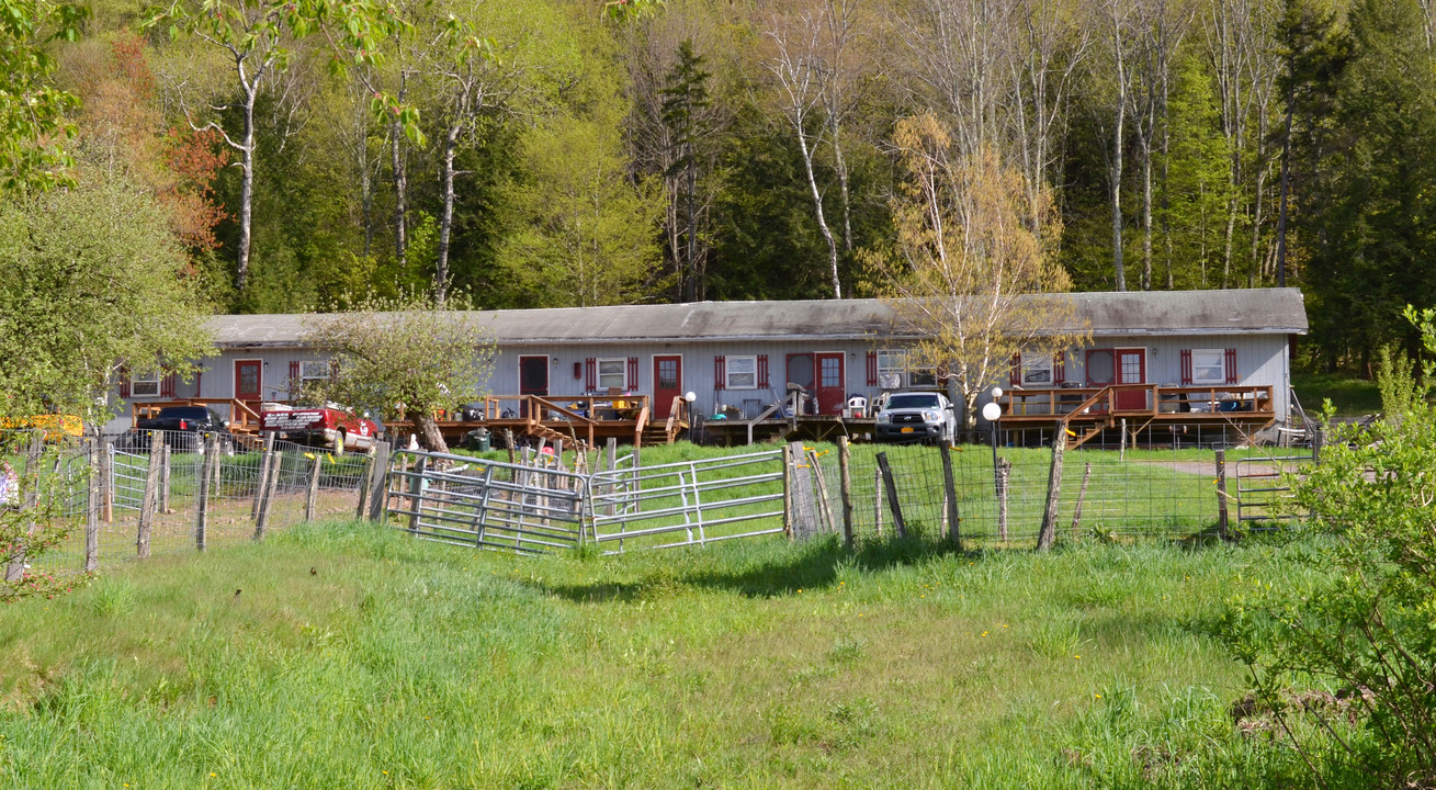 55 Spruce St in Tannersville, NY - Building Photo