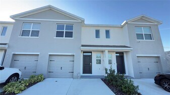 31242 Midnight Sun Wy in Wesley Chapel, FL - Building Photo