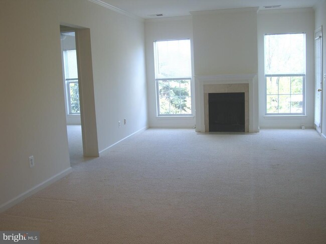 7000 Falls Reach Dr in Falls Church, VA - Building Photo - Building Photo