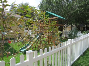 917 Truman Ln in Cedar Park, TX - Building Photo - Building Photo